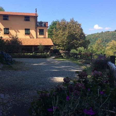 Agriturismo La Taverna Del Nonno Borzonasca Dış mekan fotoğraf